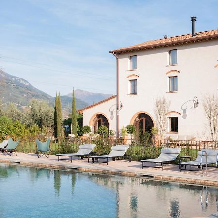 Paradis Agricole Pietrasanta Exterior foto