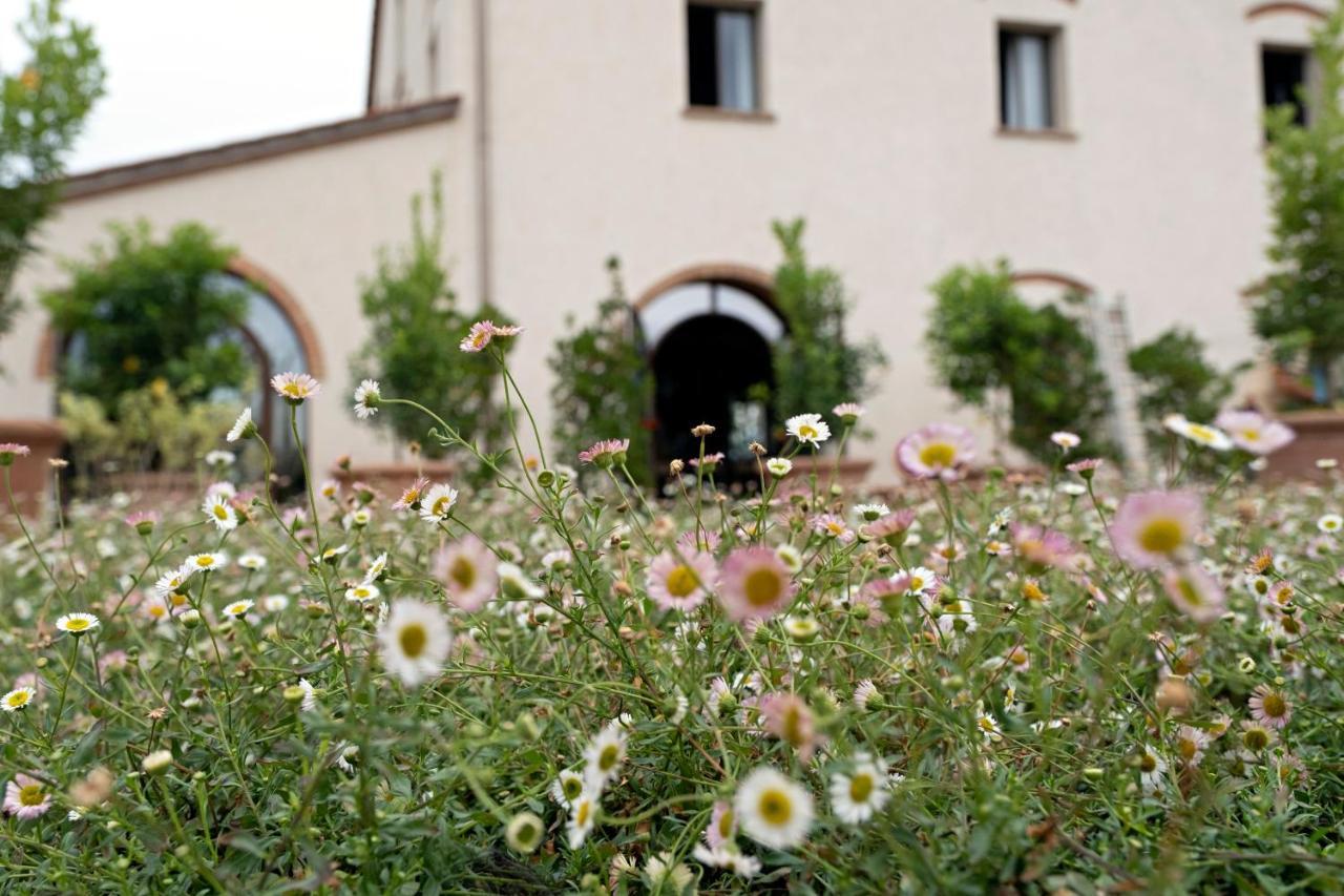 Paradis Agricole Pietrasanta Exterior foto
