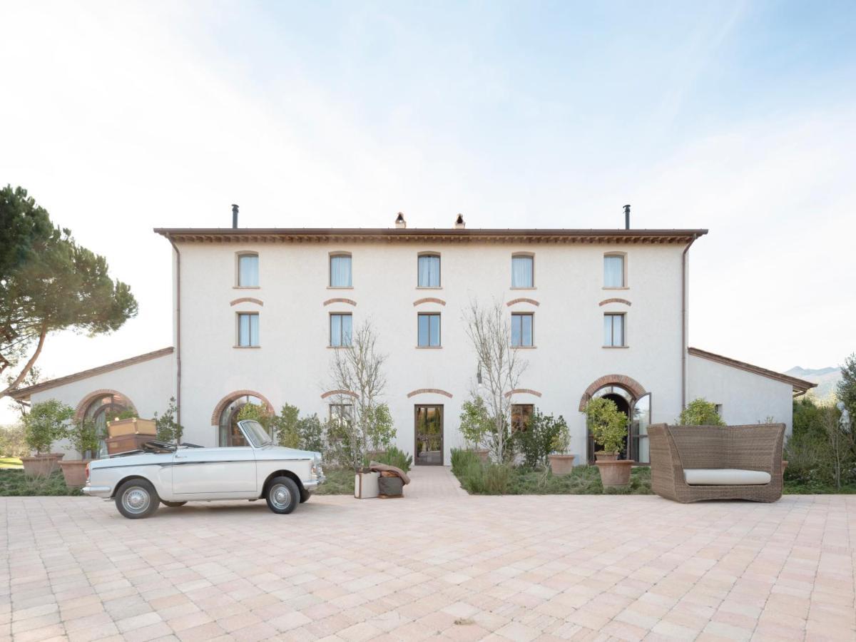 Paradis Agricole Pietrasanta Exterior foto